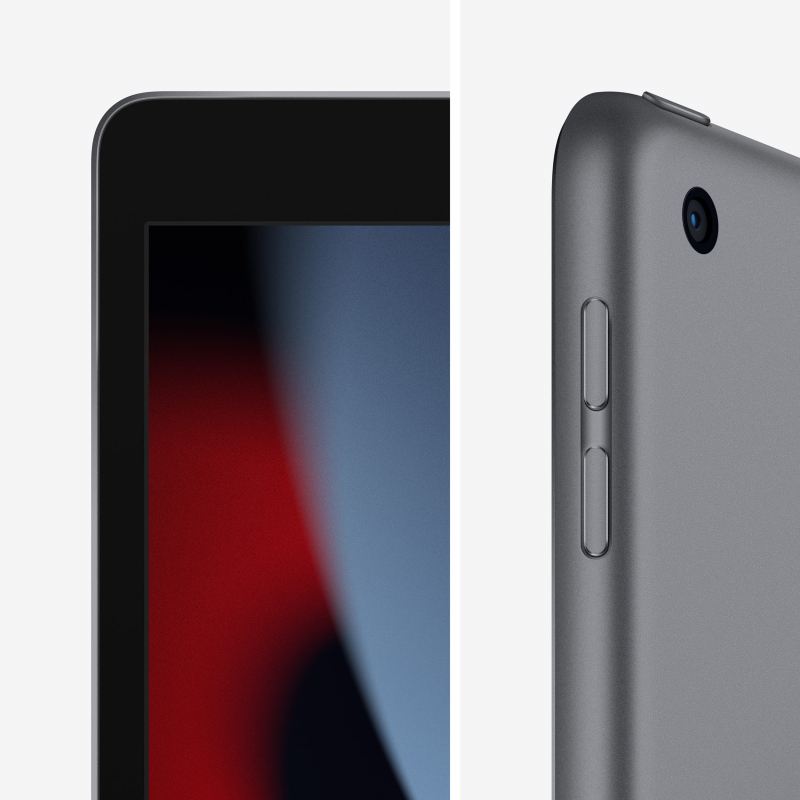 Apple iPad 10,2 (2021) Wi-Fi 256 ГБ, Серый космос